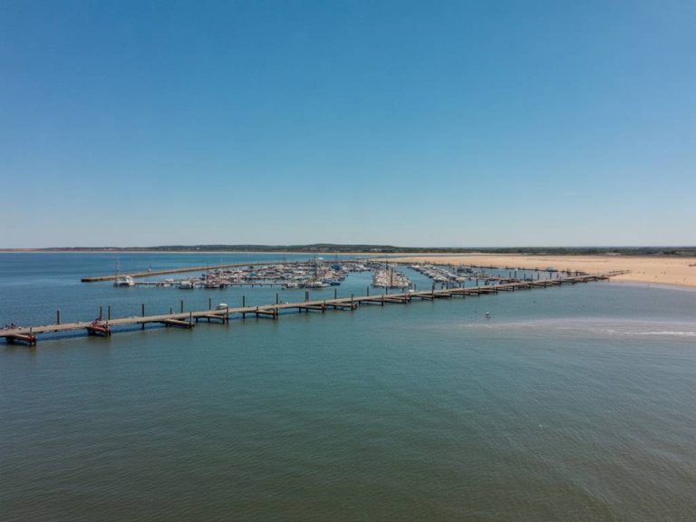 Port de Gujan-Mestras : cœur ostréicole du Bassin d'Arcachon